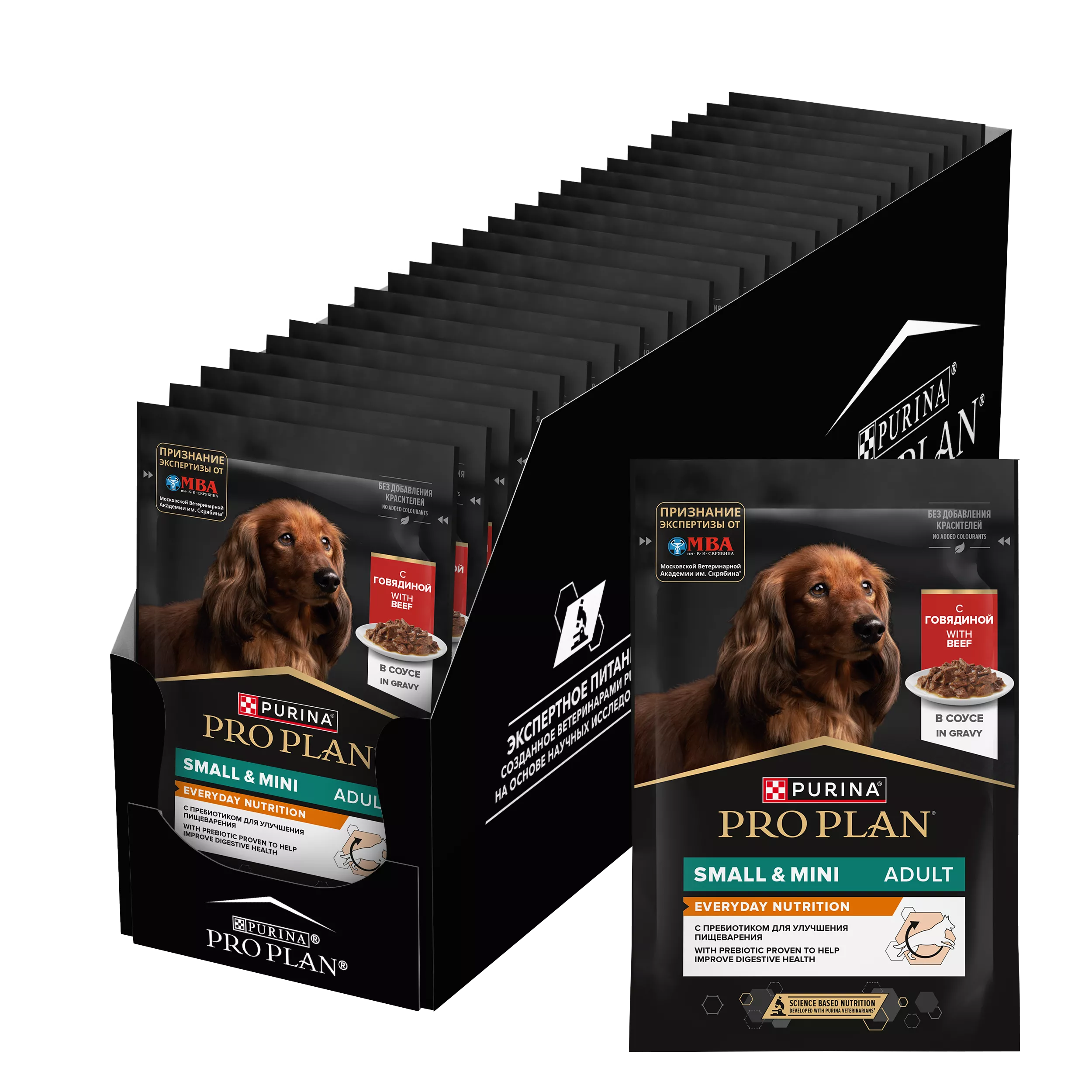 2e0e3f8c-5309-11ef-99dc-0e4f40de3579_qxjuu15nlgc2xr84