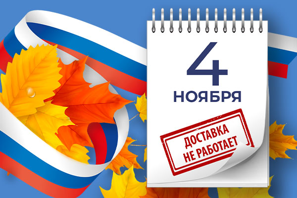 С Днем народного единства: Вместе к яркому будущему!
