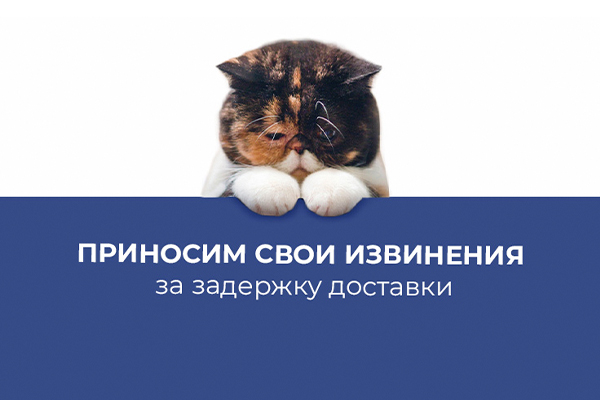 Приносим свои извинения за задержку доставки